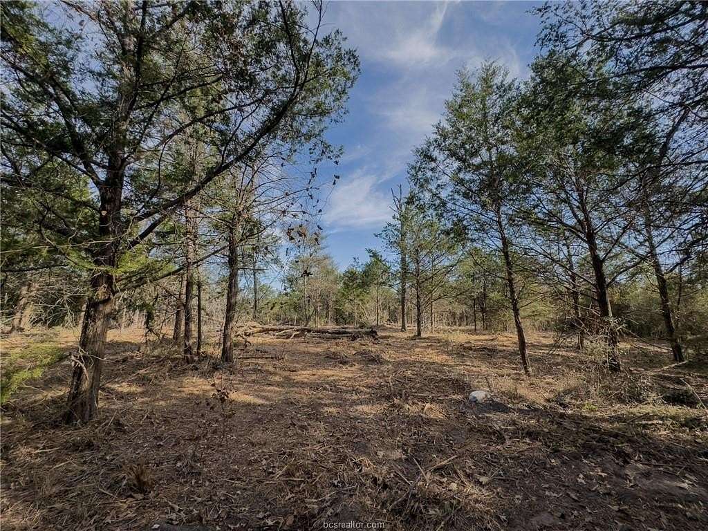 1 Acre of Residential Land for Sale in Somerville, Texas
