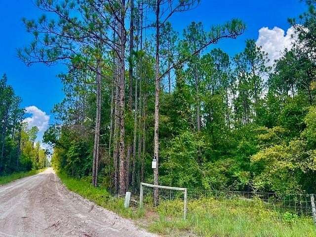 13.34 Acres of Land for Sale in Bell, Florida