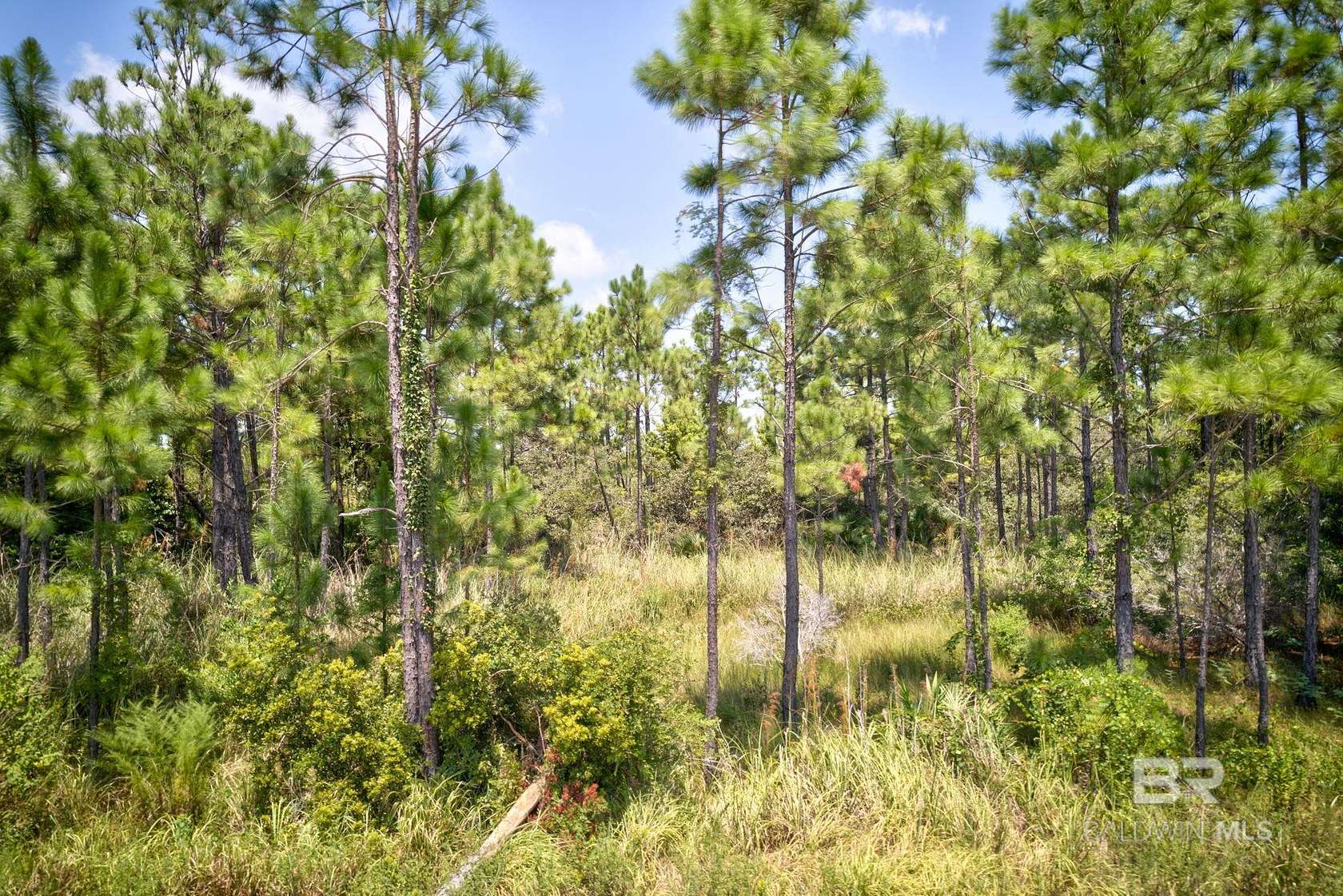 0.459 Acres of Residential Land for Sale in Gulf Shores, Alabama