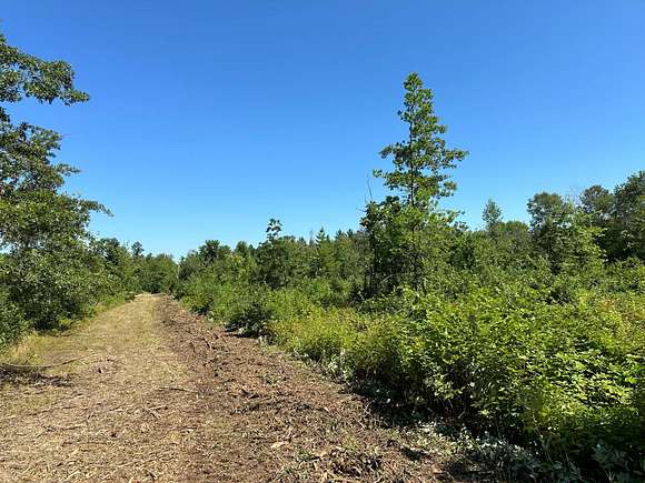 Enjoy Walking Through The Trail