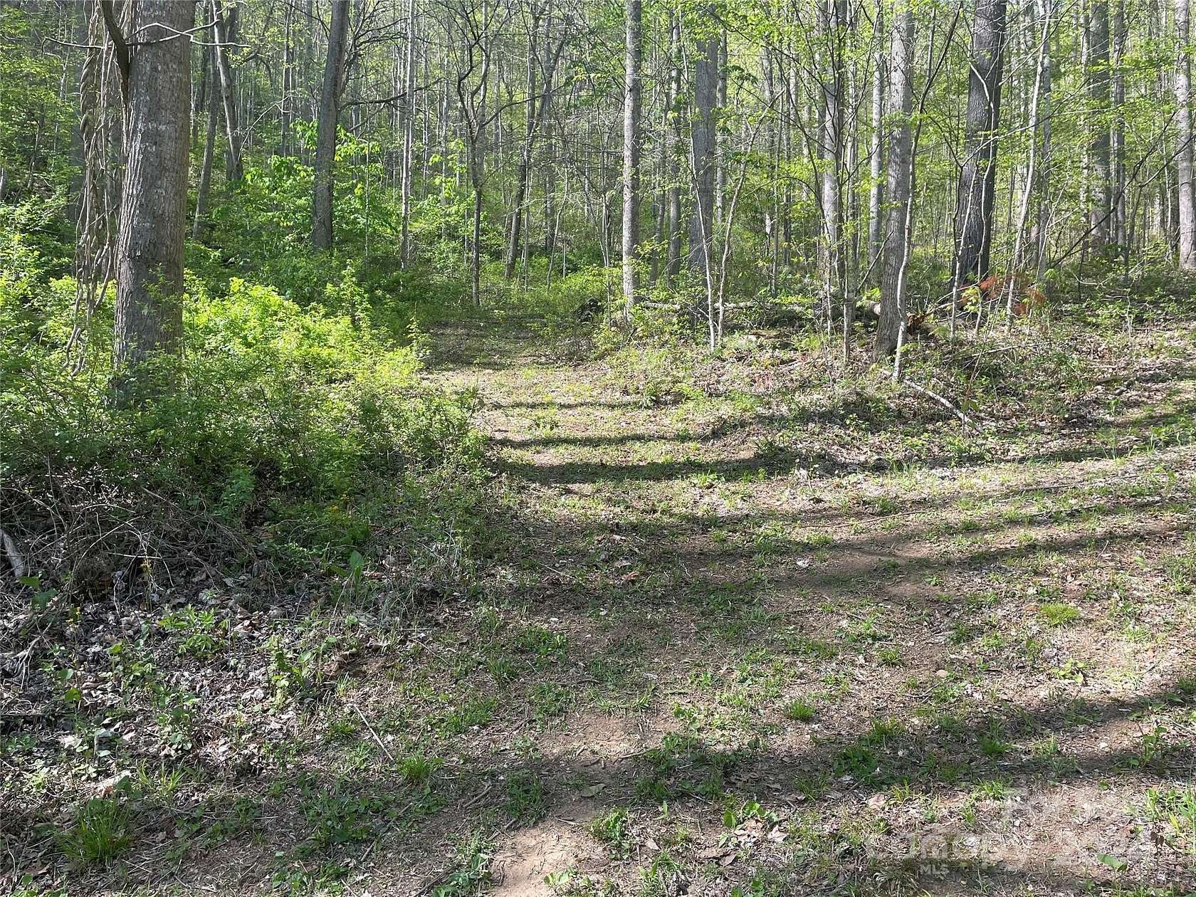 44.62 Acres of Land for Sale in Barnardsville, North Carolina