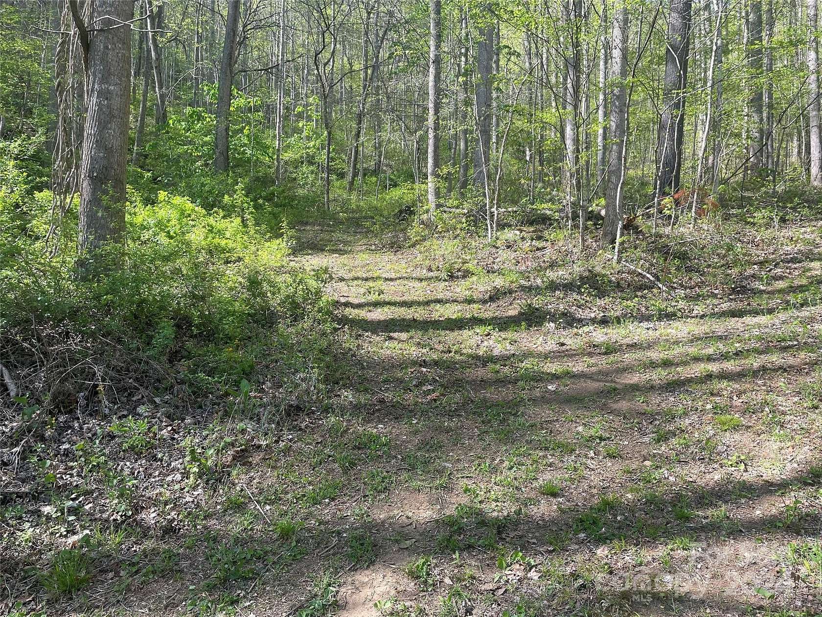 44.6 Acres of Land for Sale in Barnardsville, North Carolina