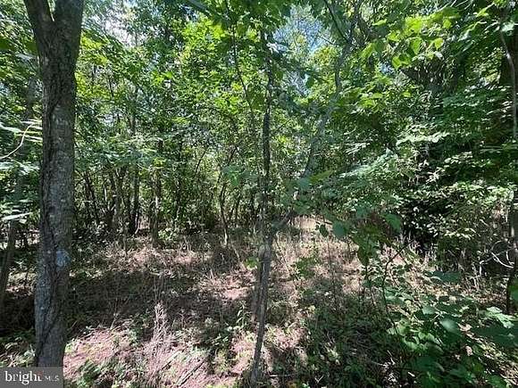 0.57 Acres of Land for Sale in Luray, Virginia