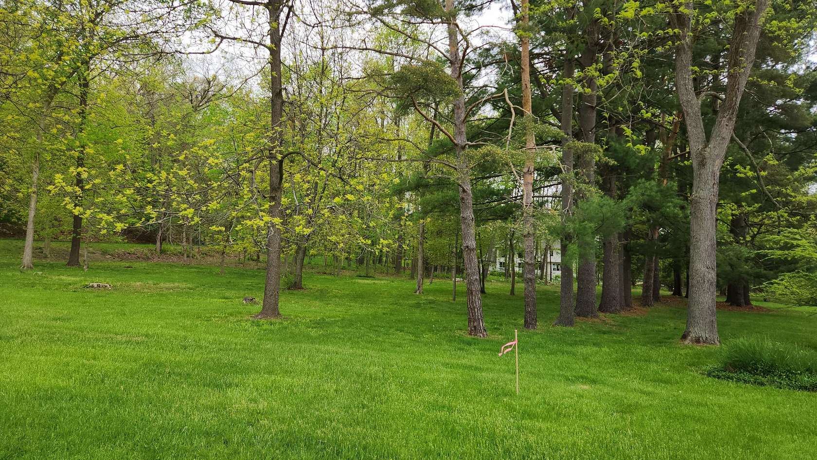 1 Acre of Residential Land for Sale in Grand Rapids, Michigan