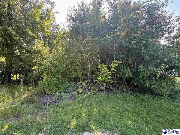 6 Acres of Residential Land for Sale in Florence, South Carolina