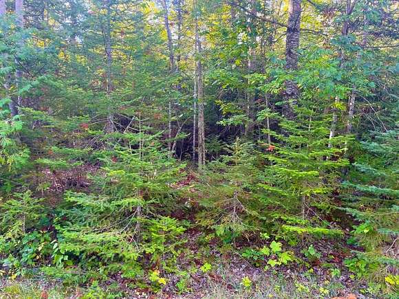 Residential Land for Sale in Presque Isle, Michigan