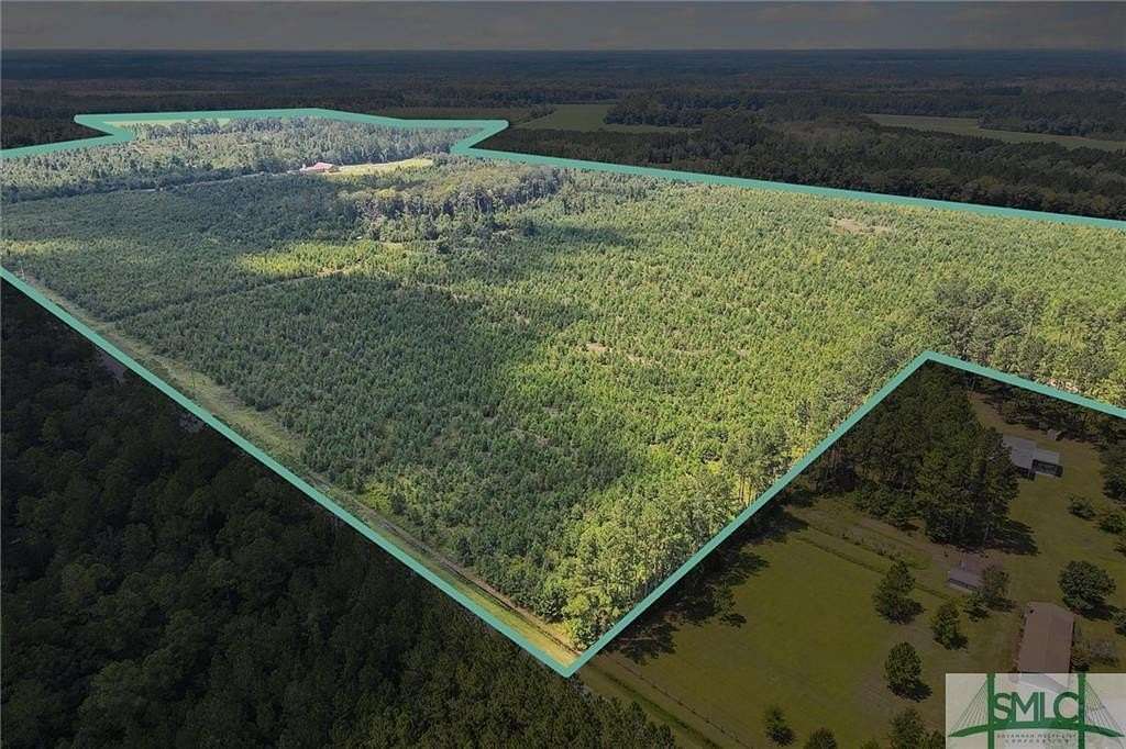 198 Acres of Land for Sale in Brooklet, Georgia