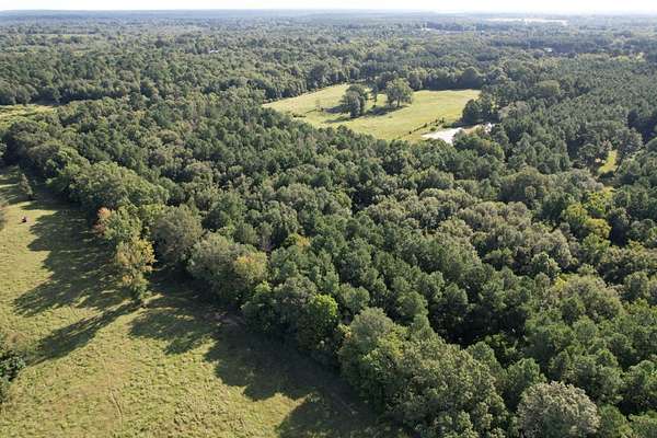 48 Acres of Recreational & Residential Land for Sale in Long Branch, Texas