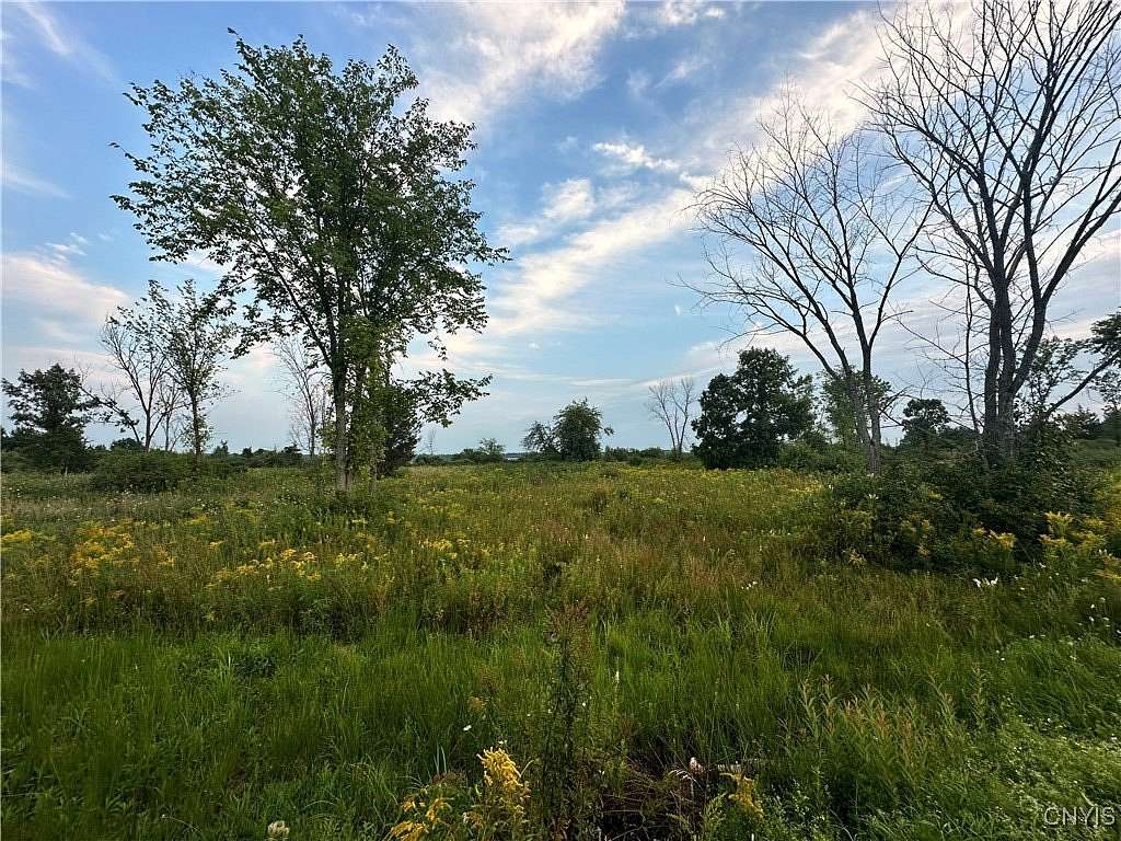 10 Acres of Residential Land for Sale in Clayton, New York