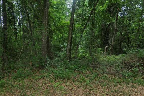 0.32 Acres of Residential Land for Sale in Satsuma, Florida