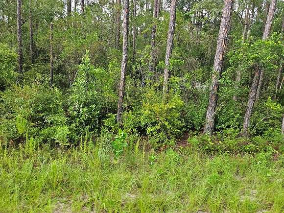 13.43 Acres of Recreational Land for Sale in Wewahitchka, Florida