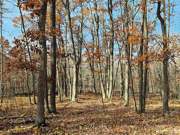 9.32 Acres of Recreational Land for Sale in Sand Creek, Wisconsin