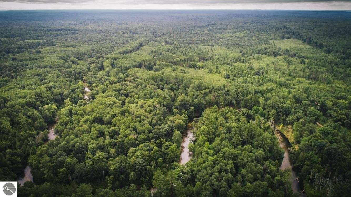 173.5 Acres of Recreational Land for Sale in Baldwin, Michigan