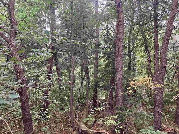 0.27 Acres of Residential Land for Sale in Houghton Lake, Michigan