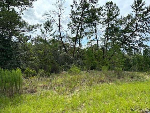 0.62 Acres of Residential Land for Sale in Citrus Springs, Florida