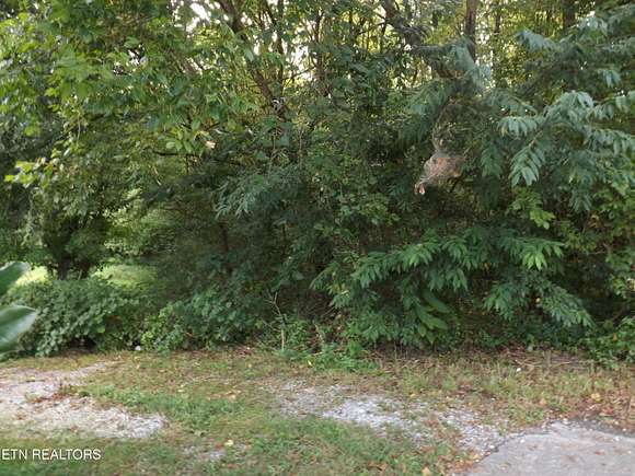 0.45 Acres of Residential Land for Sale in New Tazewell, Tennessee