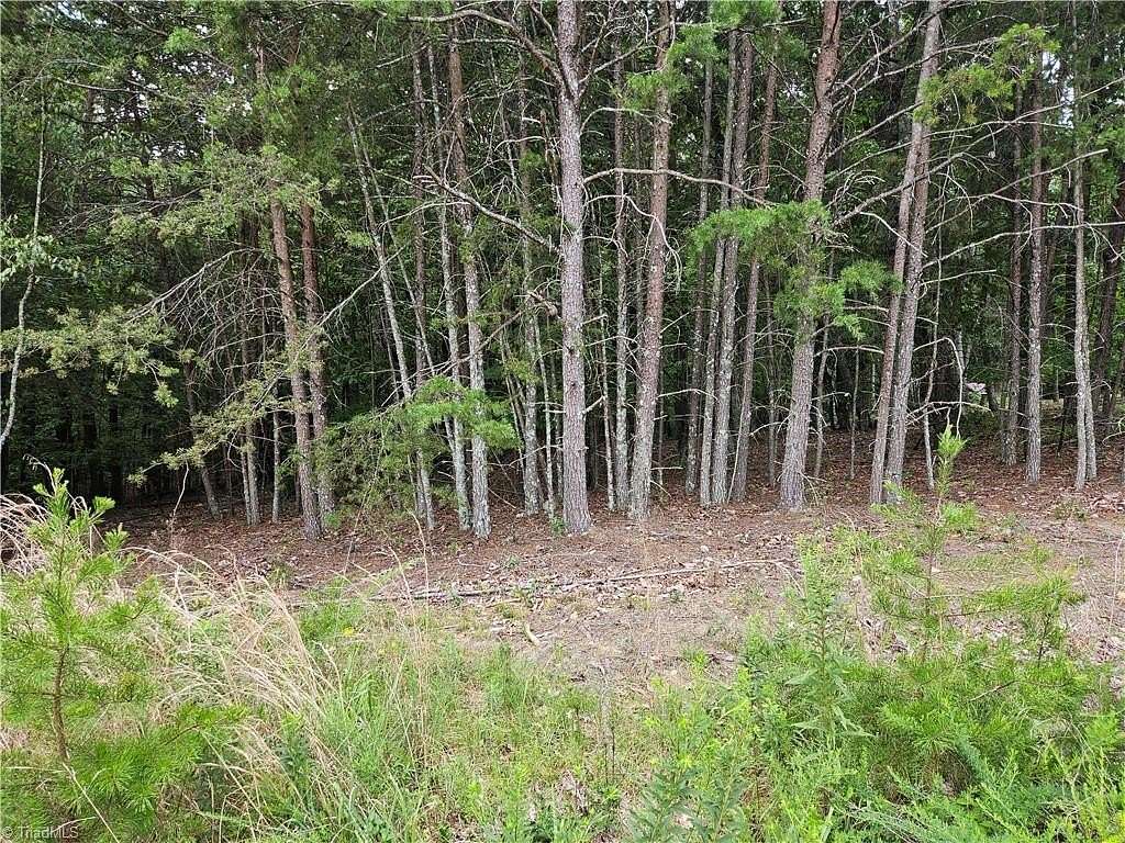 0.9 Acres of Residential Land for Sale in Pilot Mountain, North Carolina