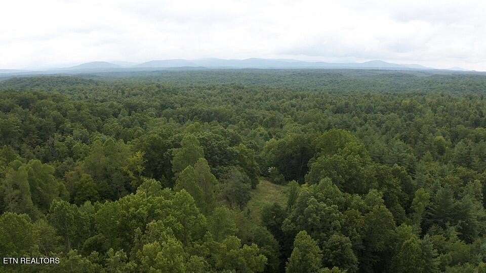 100 Acres of Recreational Land for Sale in Sunbright, Tennessee