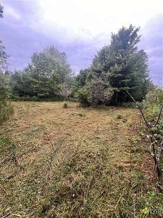 10.16 Acres of Land for Sale in Brookfield, New York