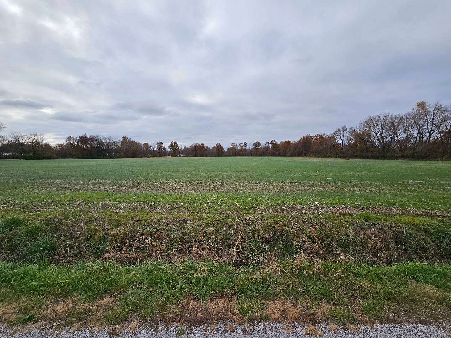 10 Acres of Residential Land for Sale in Dodds Township, Illinois