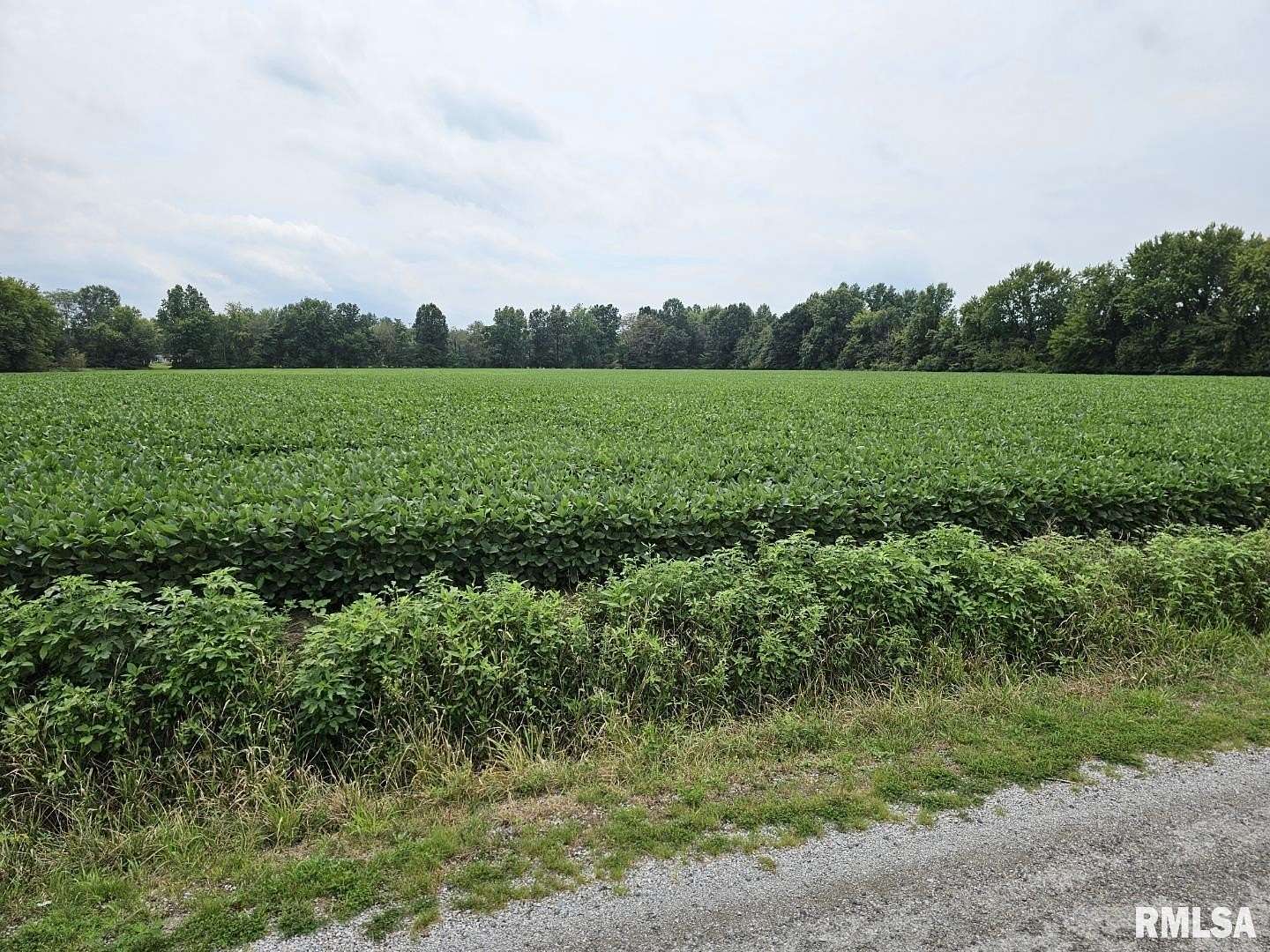 10 Acres of Residential Land for Sale in Mount Vernon, Illinois