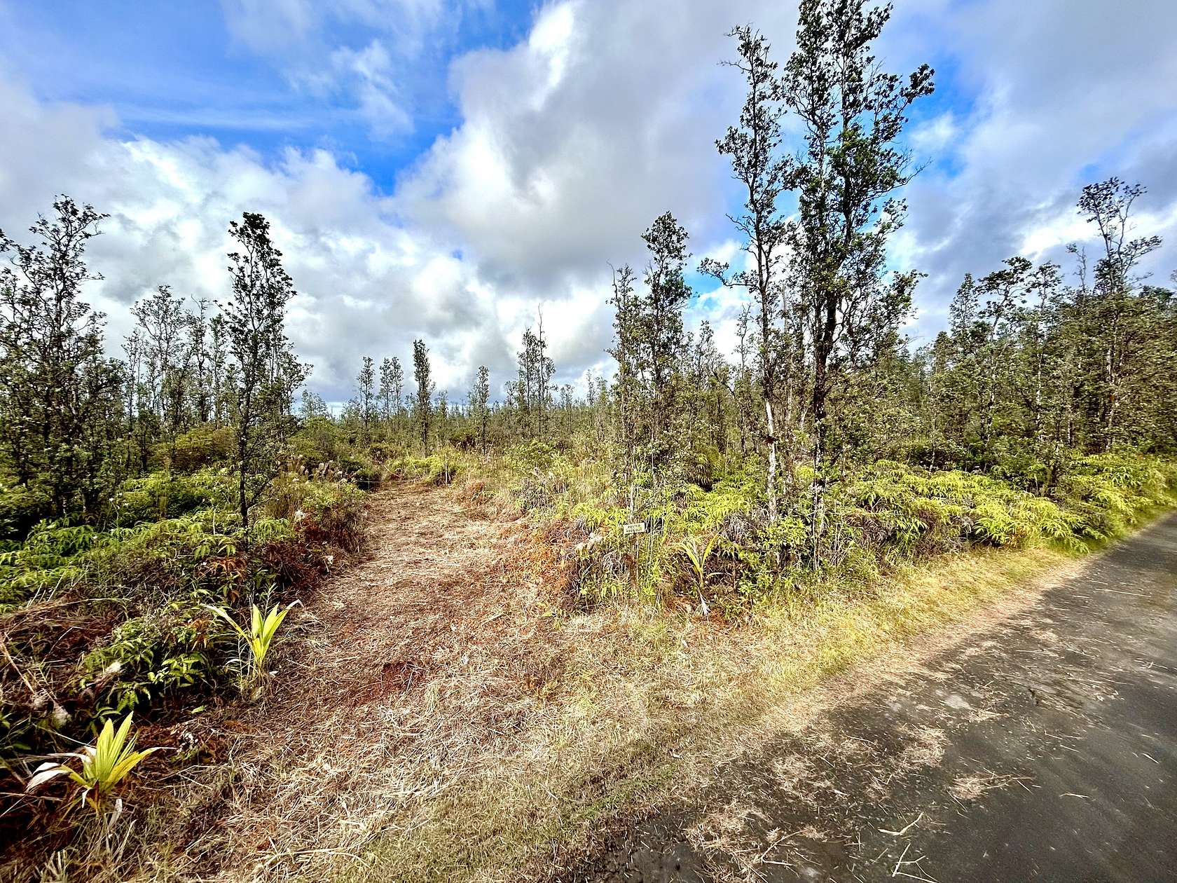 3 Acres of Land for Sale in Kurtistown, Hawaii