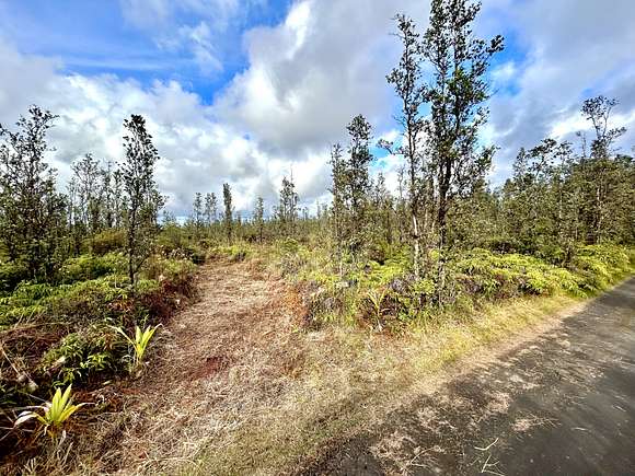 3 Acres of Land for Sale in Kurtistown, Hawaii