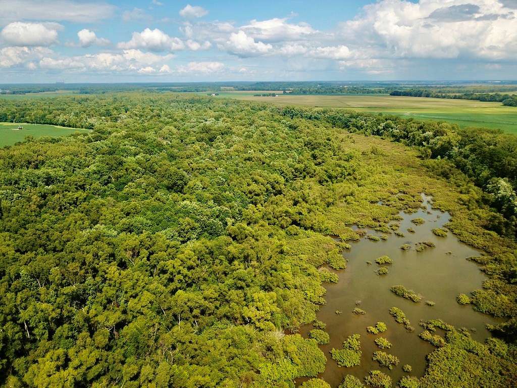 79 Acres of Recreational Land & Farm for Sale in Griffin, Indiana