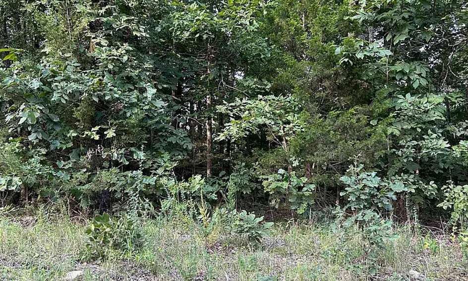 4 Acres of Residential Land for Sale in Hardy, Arkansas