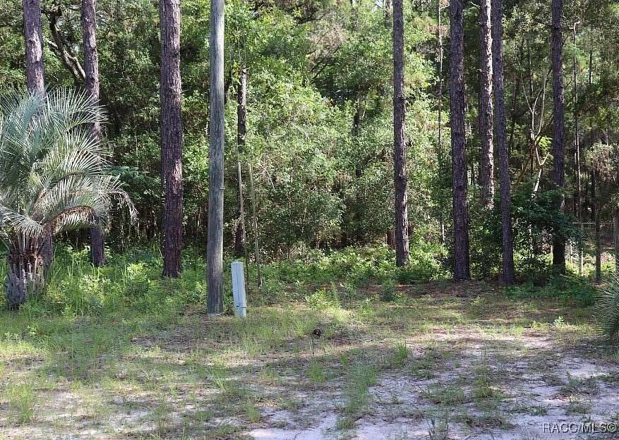 1.09 Acres of Land for Sale in Lecanto, Florida