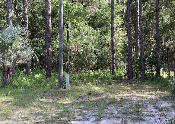 1.09 Acres of Land for Sale in Lecanto, Florida