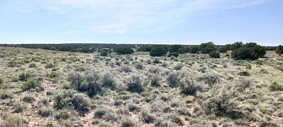 1.24 Acres of Residential Land for Sale in Sanders, Arizona