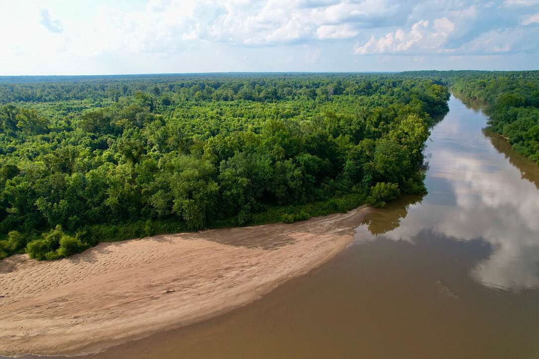 669 Acres of Land for Sale in Lumber City, Georgia