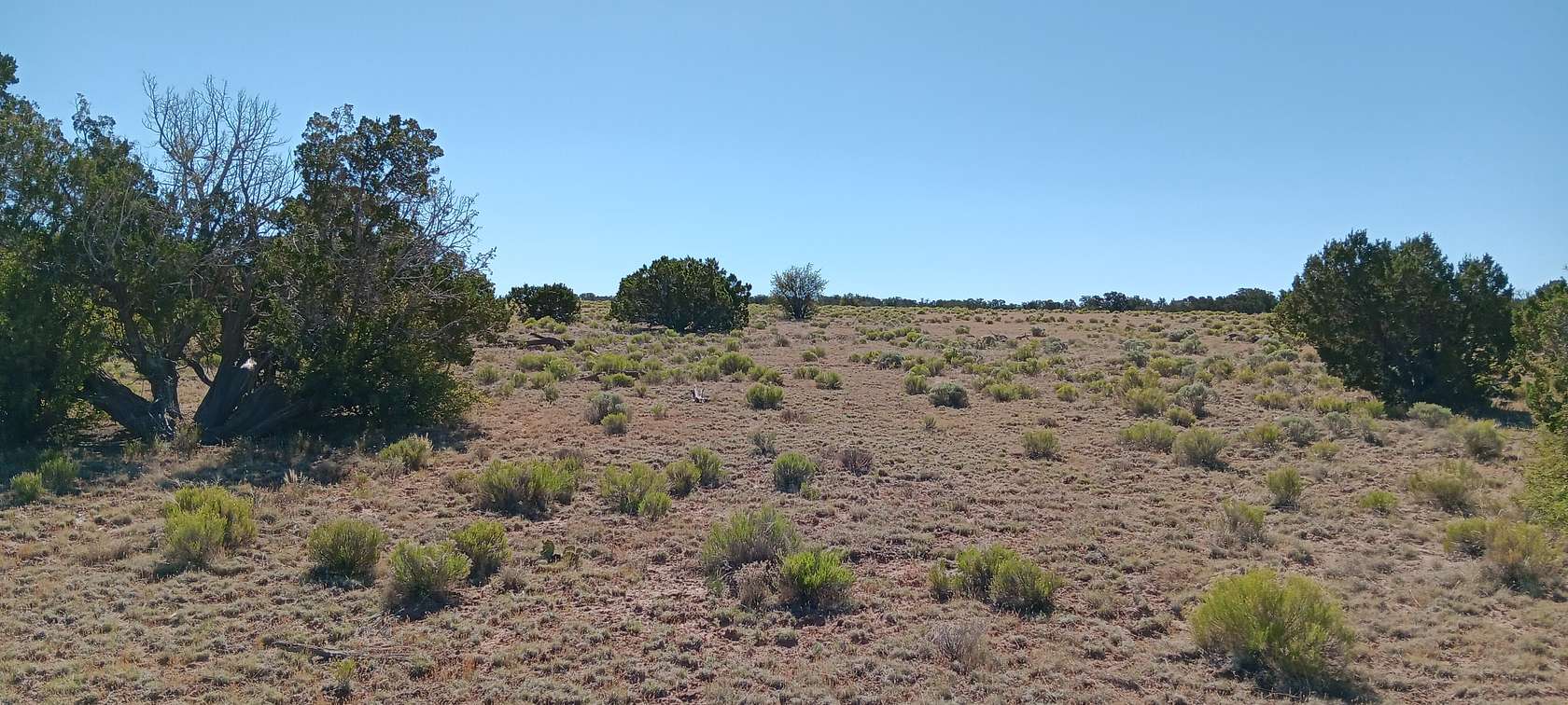 1.06 Acres of Residential Land for Sale in Sanders, Arizona