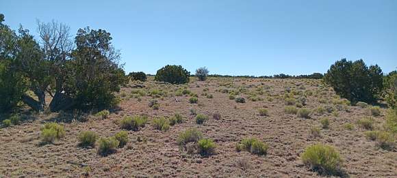 1.06 Acres of Residential Land for Sale in Sanders, Arizona