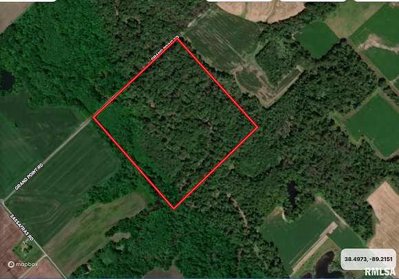 40 Acres of Recreational Land for Sale in Centralia, Illinois