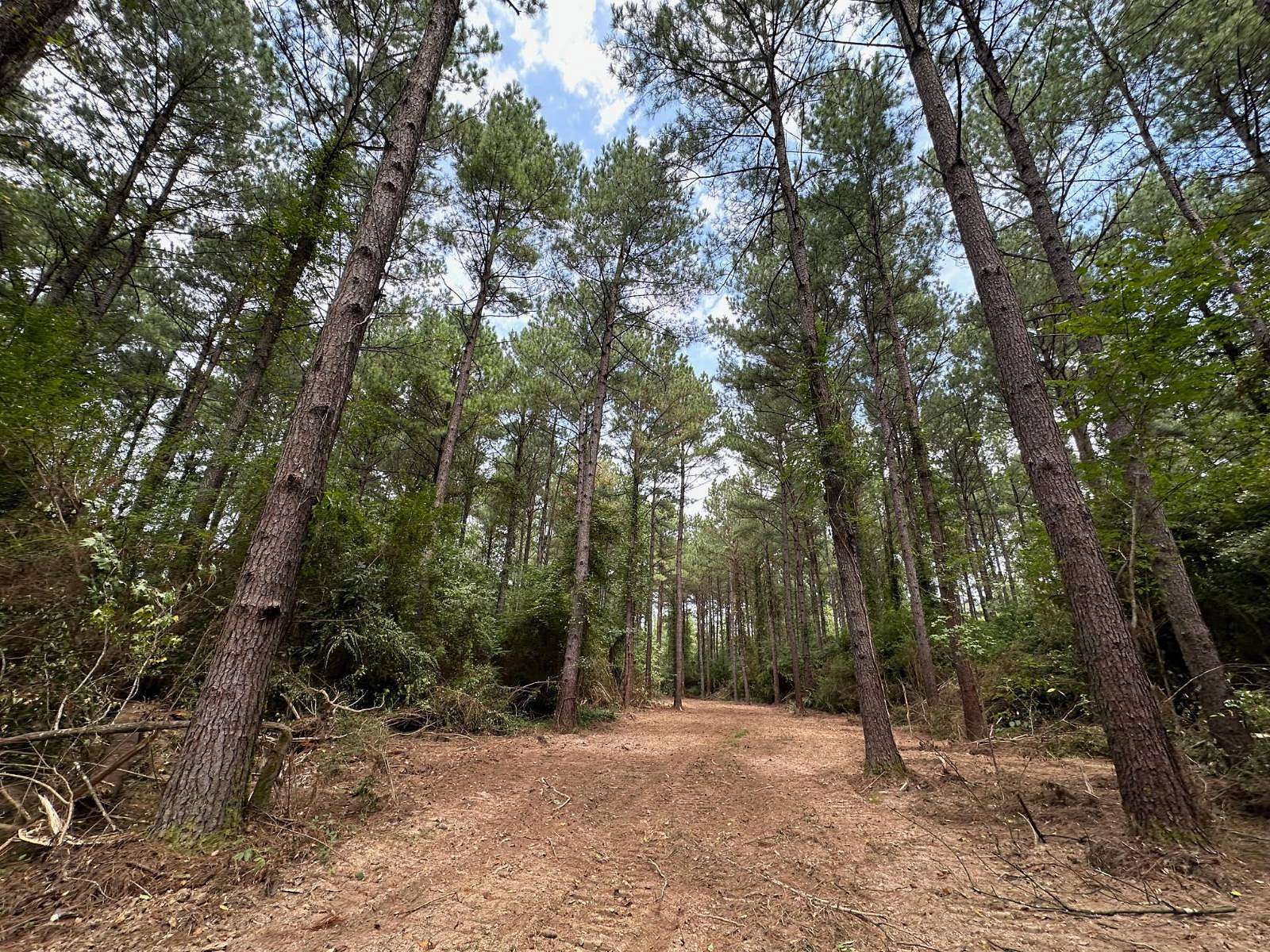 125 Acres of Recreational Land for Sale in Wesson, Mississippi