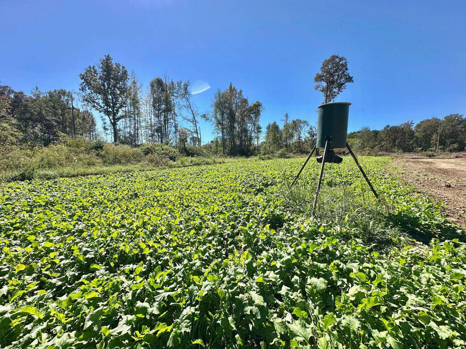 125 Acres of Recreational Land for Sale in Wesson, Mississippi