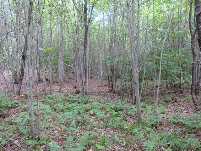 24.9 Acres of Recreational Land for Sale in Salisbury, New York