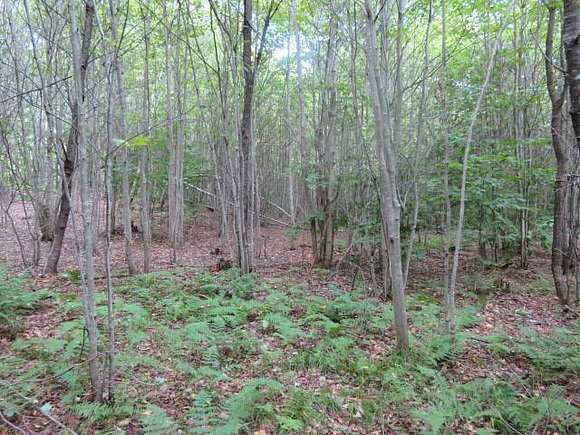 24.9 Acres of Recreational Land for Sale in Salisbury, New York