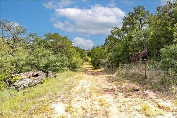 13 Acres of Land for Sale in Milano, Texas