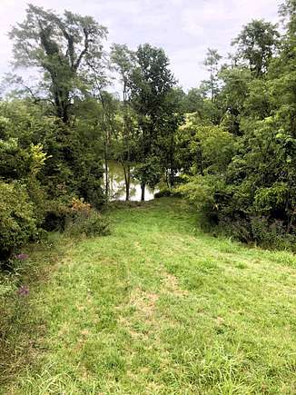 Valley leading to pond.