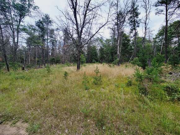 18.79 Acres of Recreational Land for Sale in Baldwin, Michigan