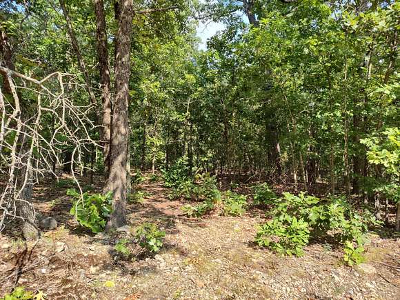 20 Acres of Recreational Land for Sale in Urbana, Missouri