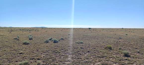 1.03 Acres of Residential Land for Sale in Concho, Arizona