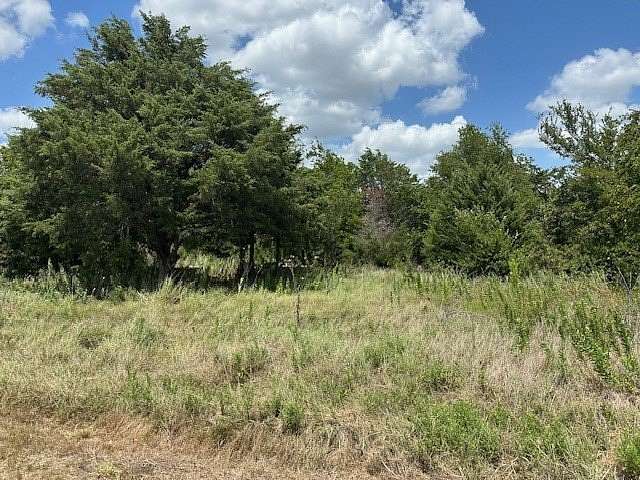 17.002 Acres of Land for Sale in Axtell, Texas