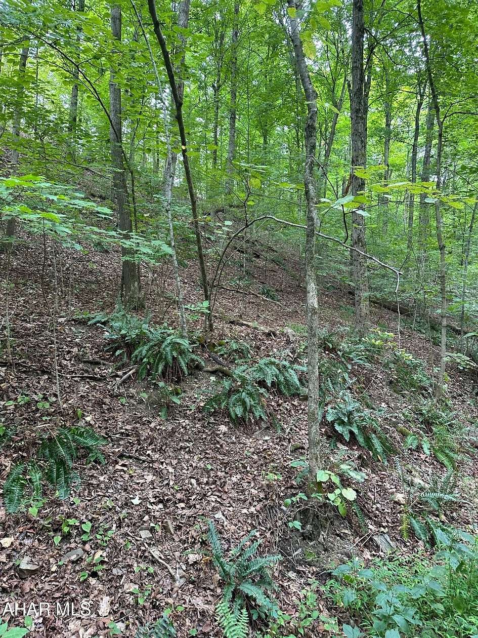 5.65 Acres of Land for Sale in New Paris, Pennsylvania