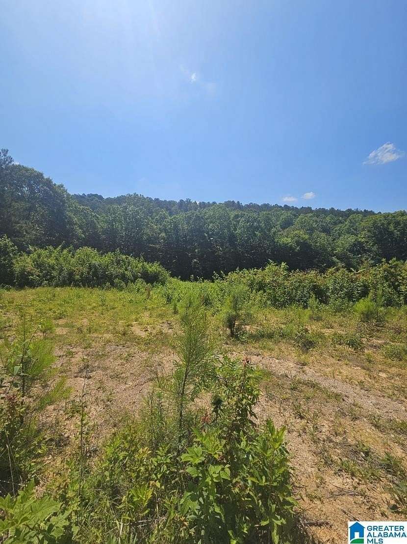 33 Acres of Land for Sale in Odenville, Alabama