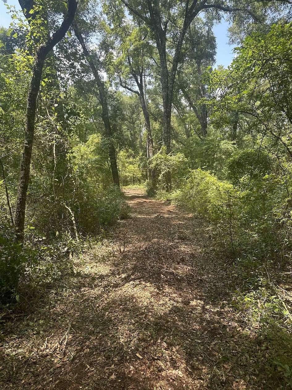 17.4 Acres of Land for Sale in Tallahassee, Florida