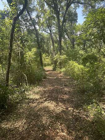 17.4 Acres of Land for Sale in Tallahassee, Florida